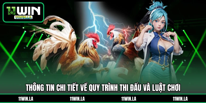 Thông tin chi tiết về quy trình thi đấu và luật chơi