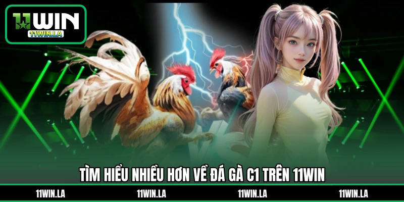 Tìm hiểu nhiều hơn về đá gà C1 trên 11WIN